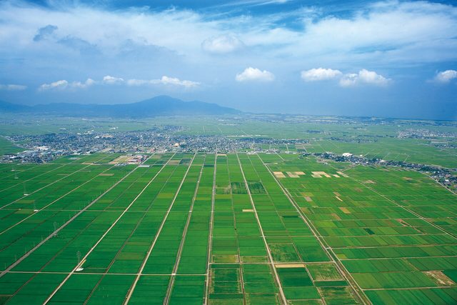 越后平野水田航拍（久保田 KSAS 案例配图）
